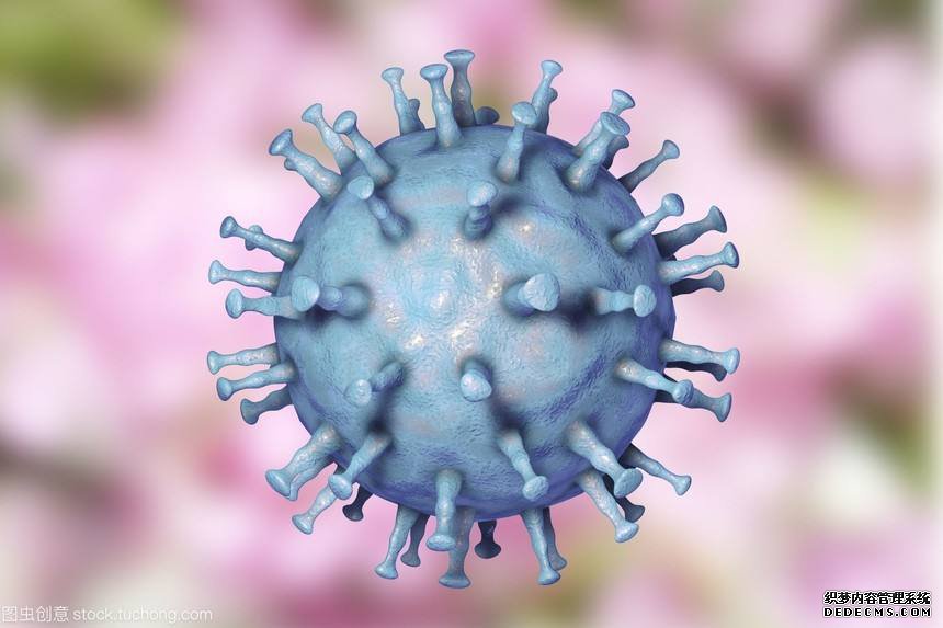 三地发生非洲猪瘟疫情 人类会被感染吗?