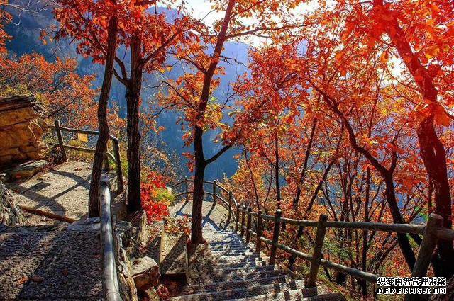 人生最高“山”境界,你到了第几境界?