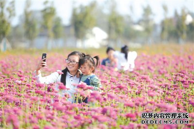 一体化发展 长三角文化产业齐发力