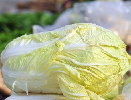 炒白菜时，直接下锅炒是不对的，牢记1点，白菜脆爽入味还好吃