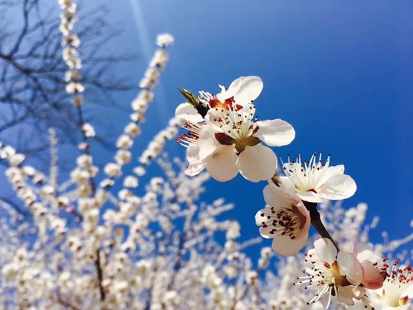 人活着,不要去羡慕任何人! 图片