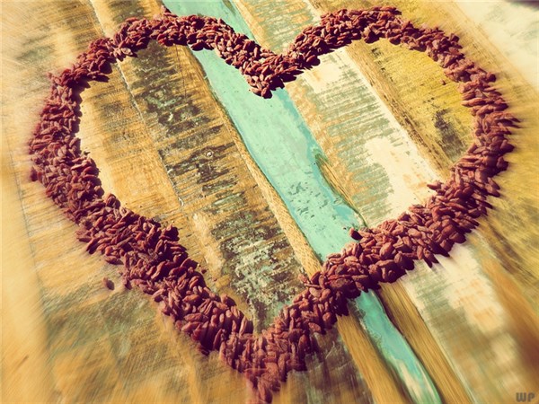 人活着,不要去羡慕任何人! 图片