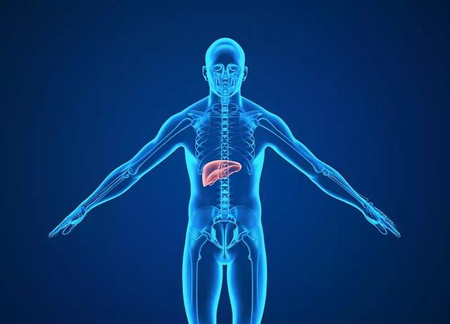 得了乙肝，一定会恶化成肝癌？关键看你有没有做对这件事