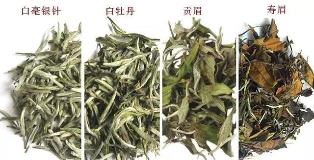 如何喝茶才能不伤胃不影响睡眠?