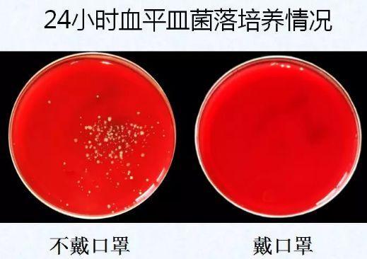打喷嚏时用手捂居然是错的?这样做才能有礼貌还不传播疾病