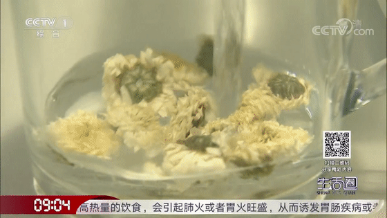 喝菊花茶清热去火、好处多?专家:不宜长期饮用