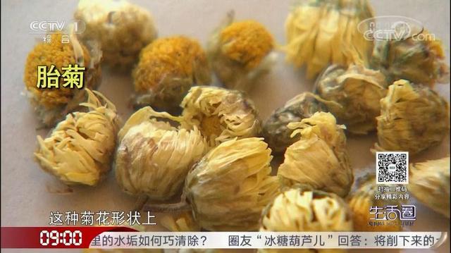 喝菊花茶清热去火、好处多?专家:不宜长期饮用