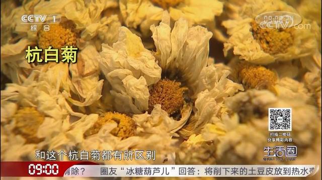 喝菊花茶清热去火、好处多?专家:不宜长期饮用