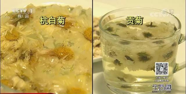 喝菊花茶清热去火、好处多?专家:不宜长期饮用