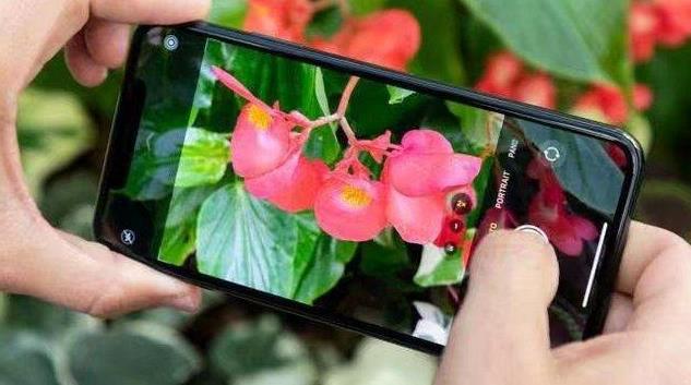 iPhone11Pro为何不吃香了,销量不及预期,原因有四点