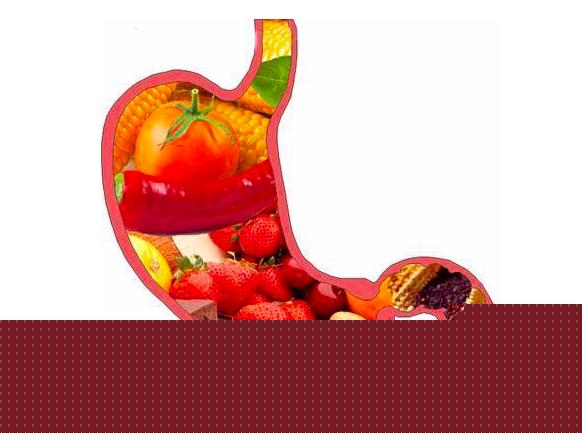 肠道对人体的影响有多大？如何保护肠道健康？看看专家怎么说