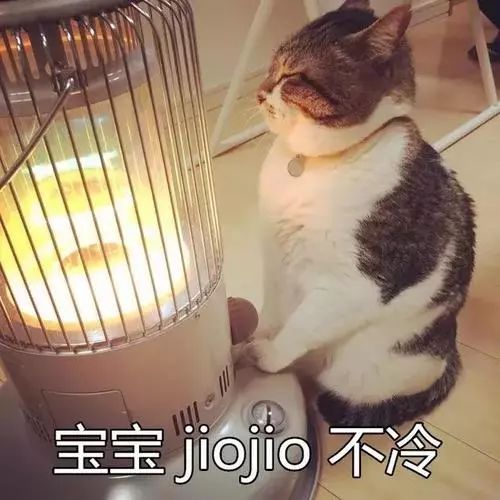 今天冬至,冷吗?接下来还要更冷…… 今天冬至,冷吗?接下来还要更冷……