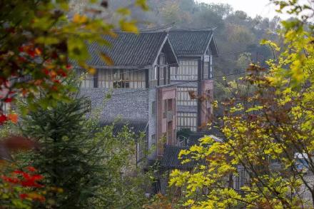 冬季游巴南!这里可以喂羊驼、看孔雀东南飞、逛古镇、穿越音乐溶洞! 冬季游巴南!这里可以喂羊驼、看孔雀东南飞、逛古镇、穿越音乐溶洞!