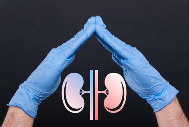 冬至过后，重养肾，多吃2白，减少4习，记住6个字，肾脏更健康