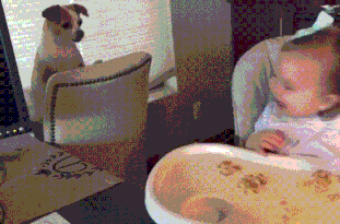 只藏脑袋不藏脚?孩子捉迷藏的背后藏着你不知道的儿童心理学