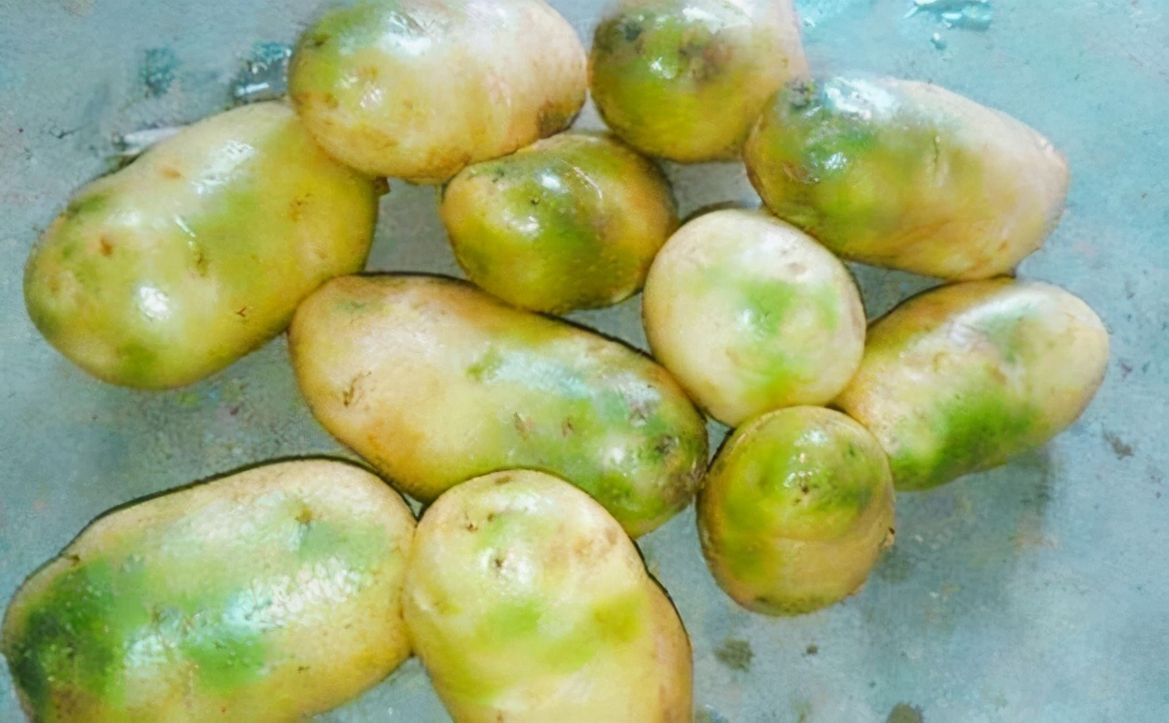 买土豆时,挑绿皮还是黄皮的?买错可是会中毒的,下次别再买错了