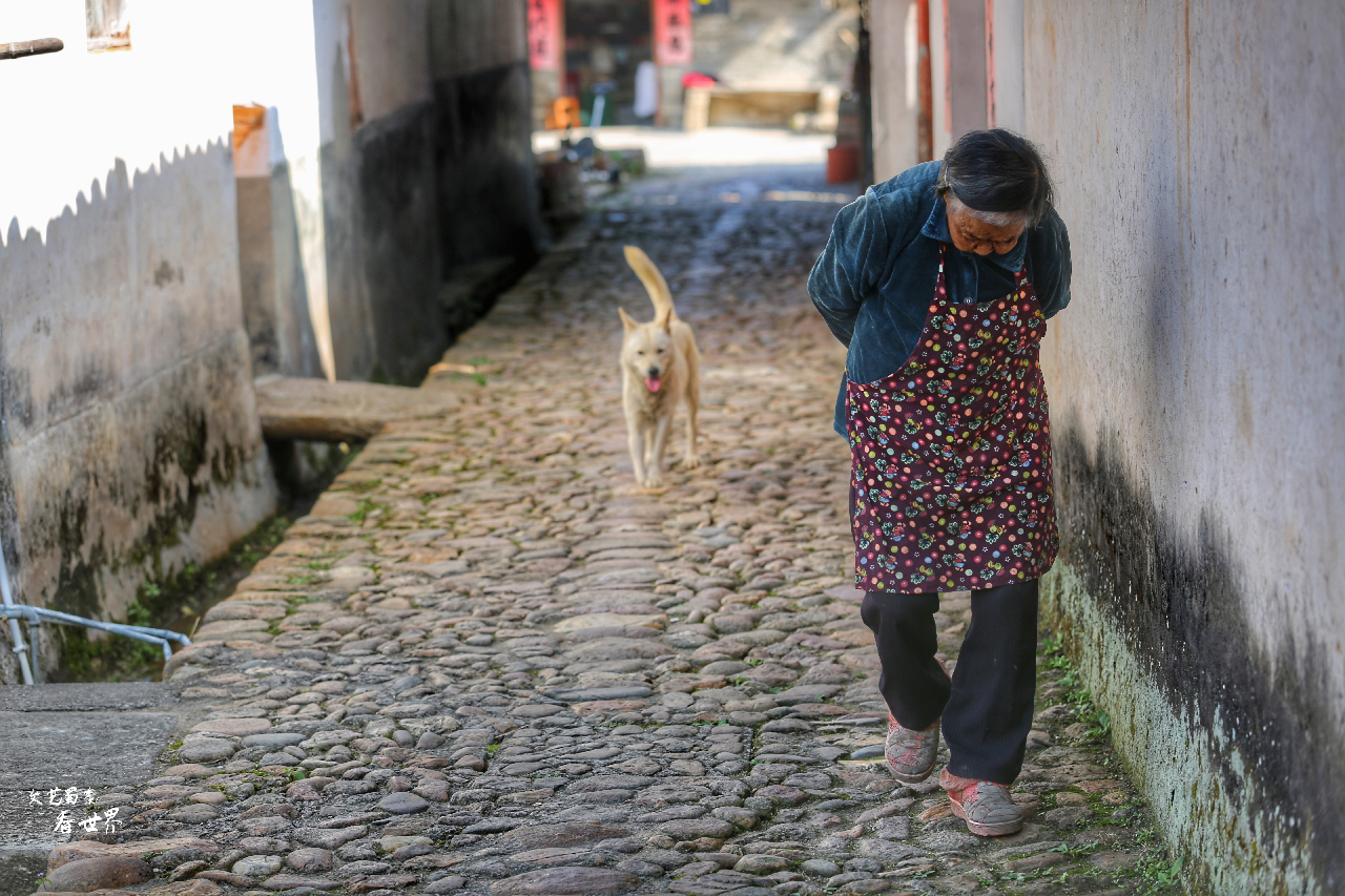 福建连城培田古村人迹罕至，它是一个拥有800年历史的古村落
