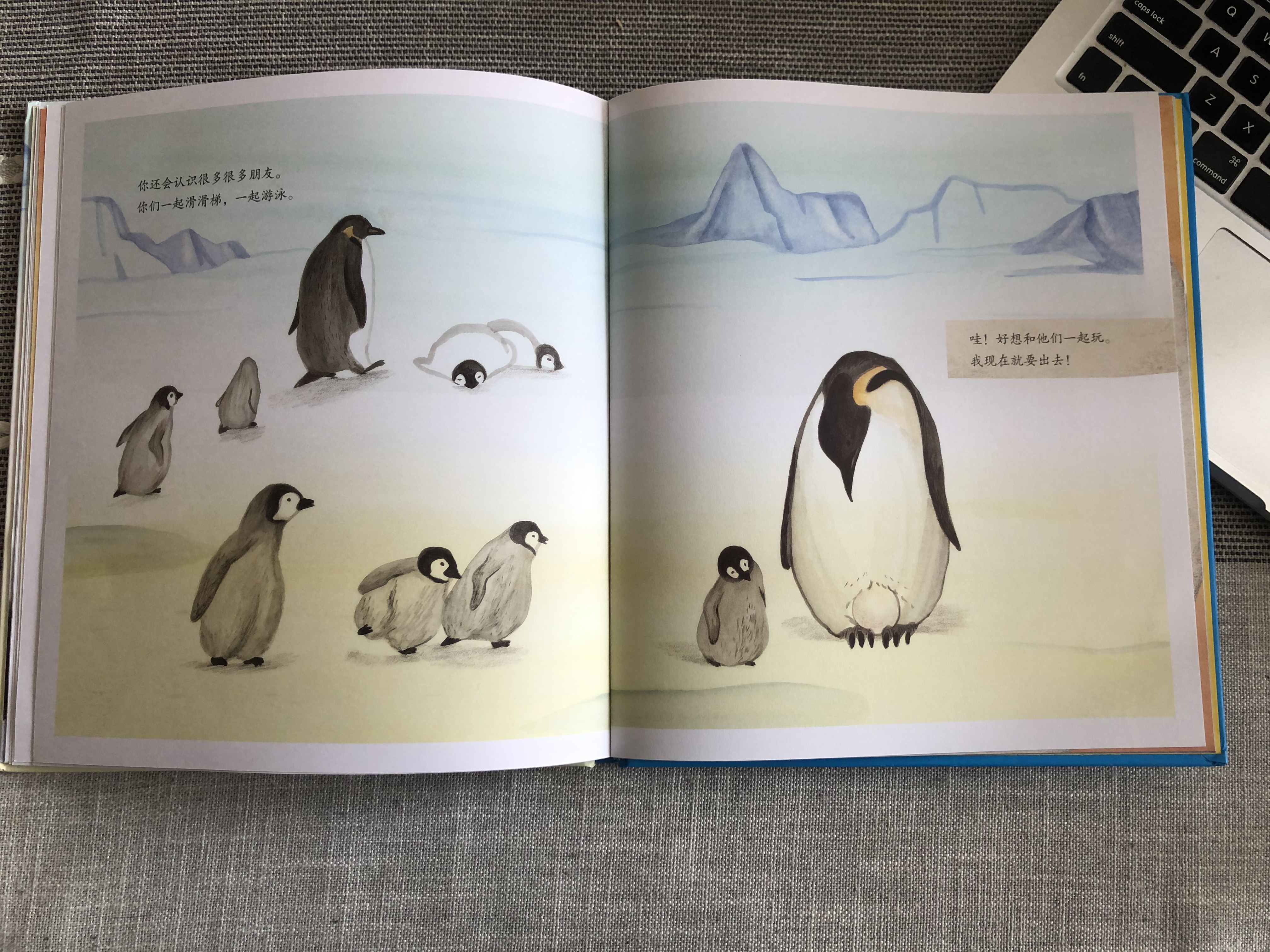 和帝企鹅学习做家长：父母原始的爱，是孩子由内而外的力量