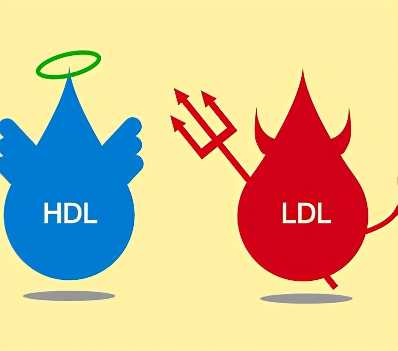胆固醇正不正常?化验单说得还不算,什么原因?医生为您讲清楚