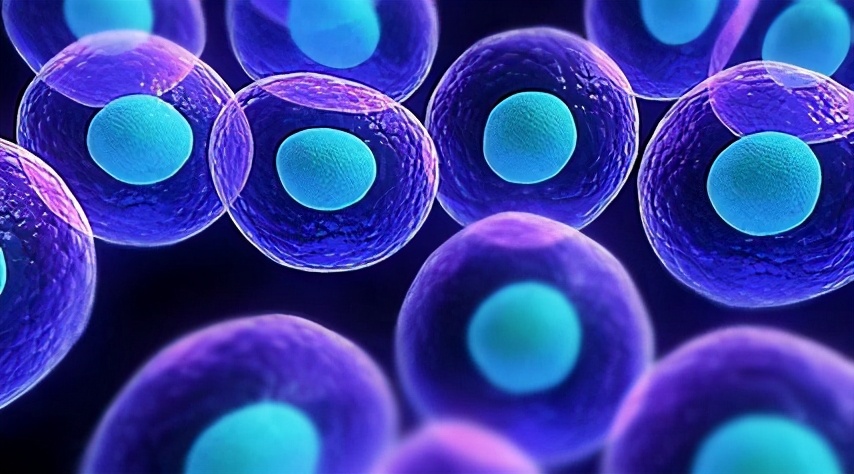 胆固醇正不正常?化验单说得还不算,什么原因?医生为您讲清楚