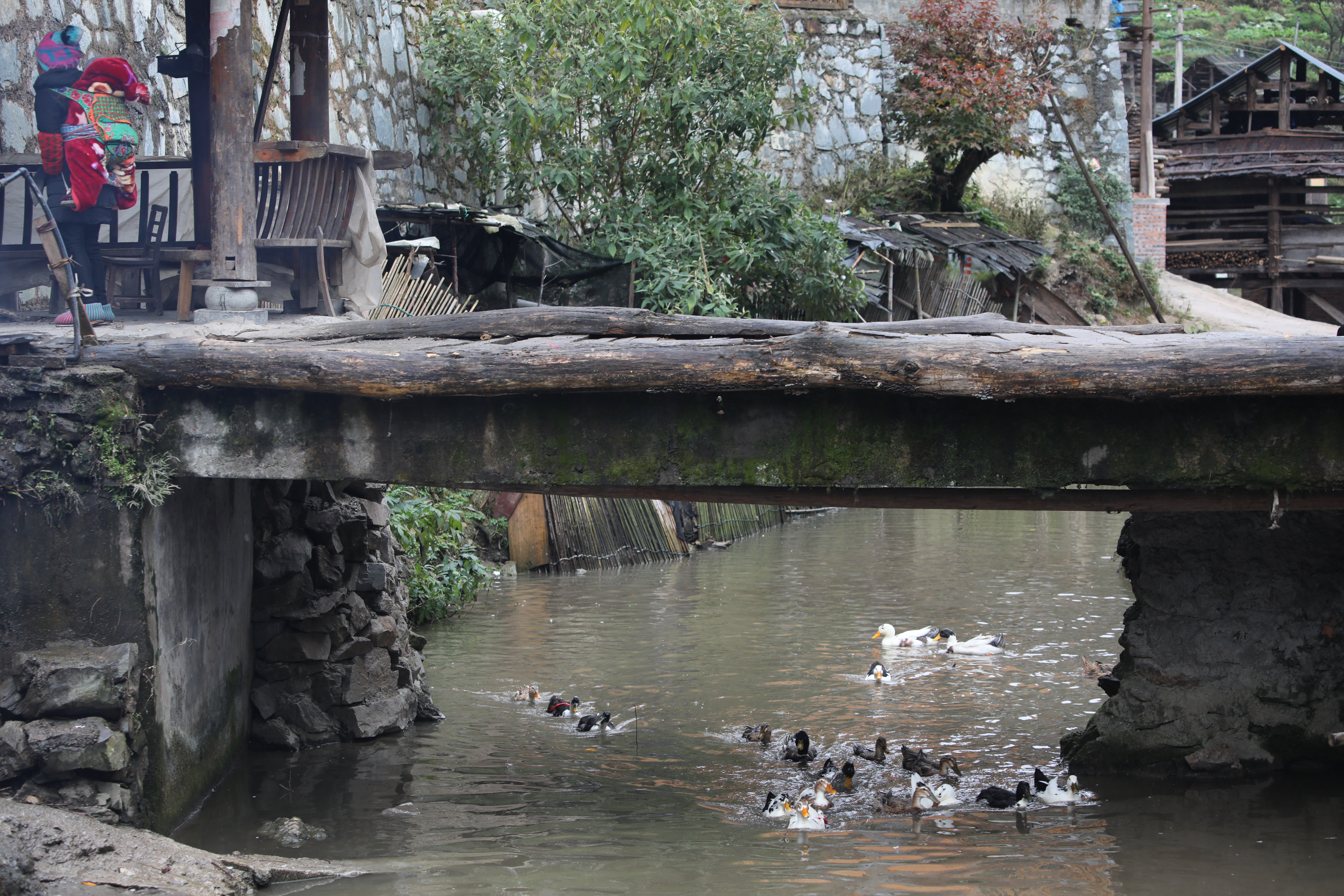 遗落在贵州深山里的原始侗寨,曾是欧洲游客最喜欢去的地方