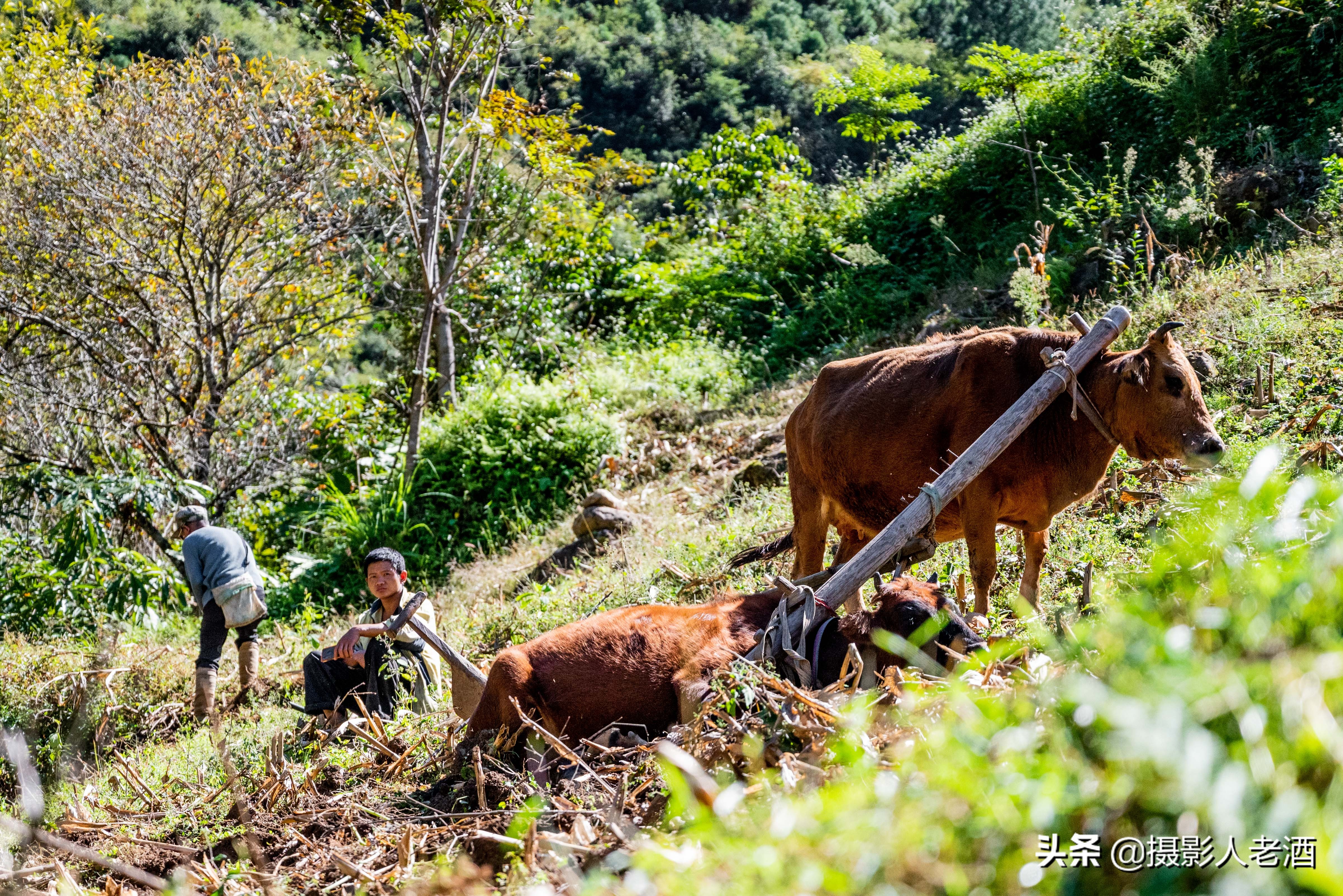 云南有一处绝美的小村庄，位于怒江茶马古道，犹如当代世外桃源