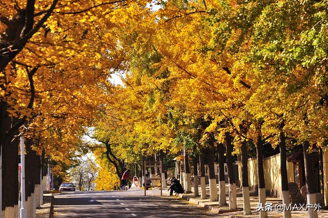 建议收藏!到山东,这10个地方绝对不能错过