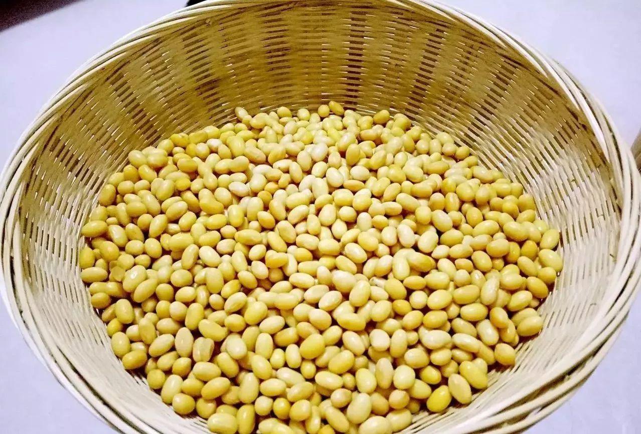 10个孩子9个脾虚到底是什么病?