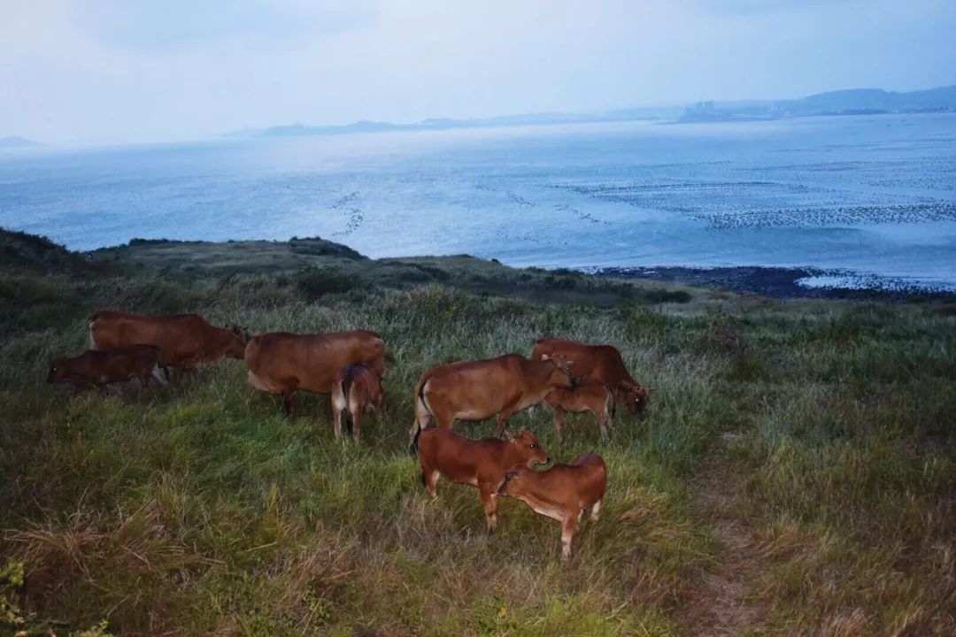 福建这6处景点,个个低调又绝美,趁着人少赶紧走起