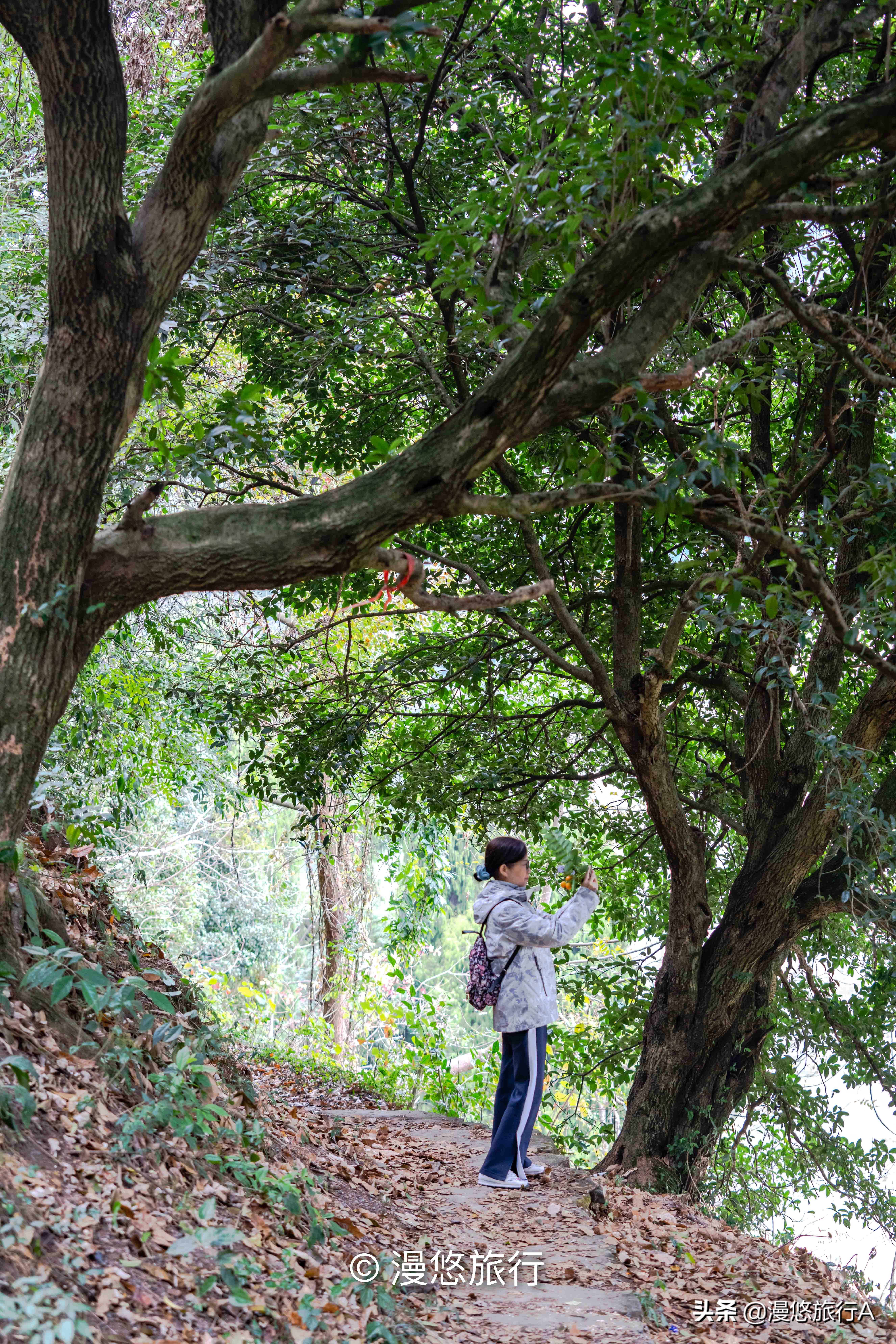 中国最美山水不在桂林市，藏在兴坪镇的山水才是资深旅行者的天堂