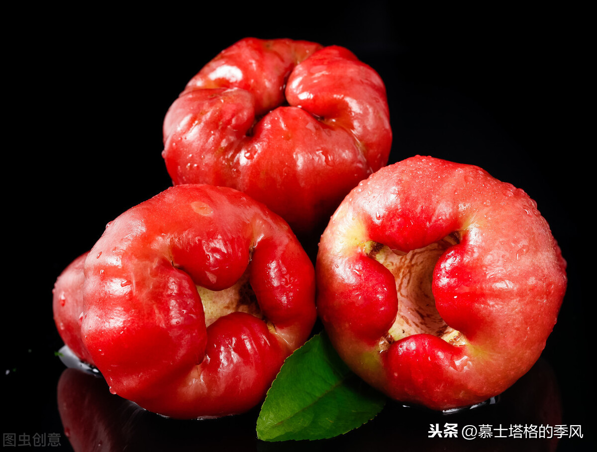 从冰天雪地,到冬日暖阳,北方人为啥都喜欢到这6个城市避寒养老