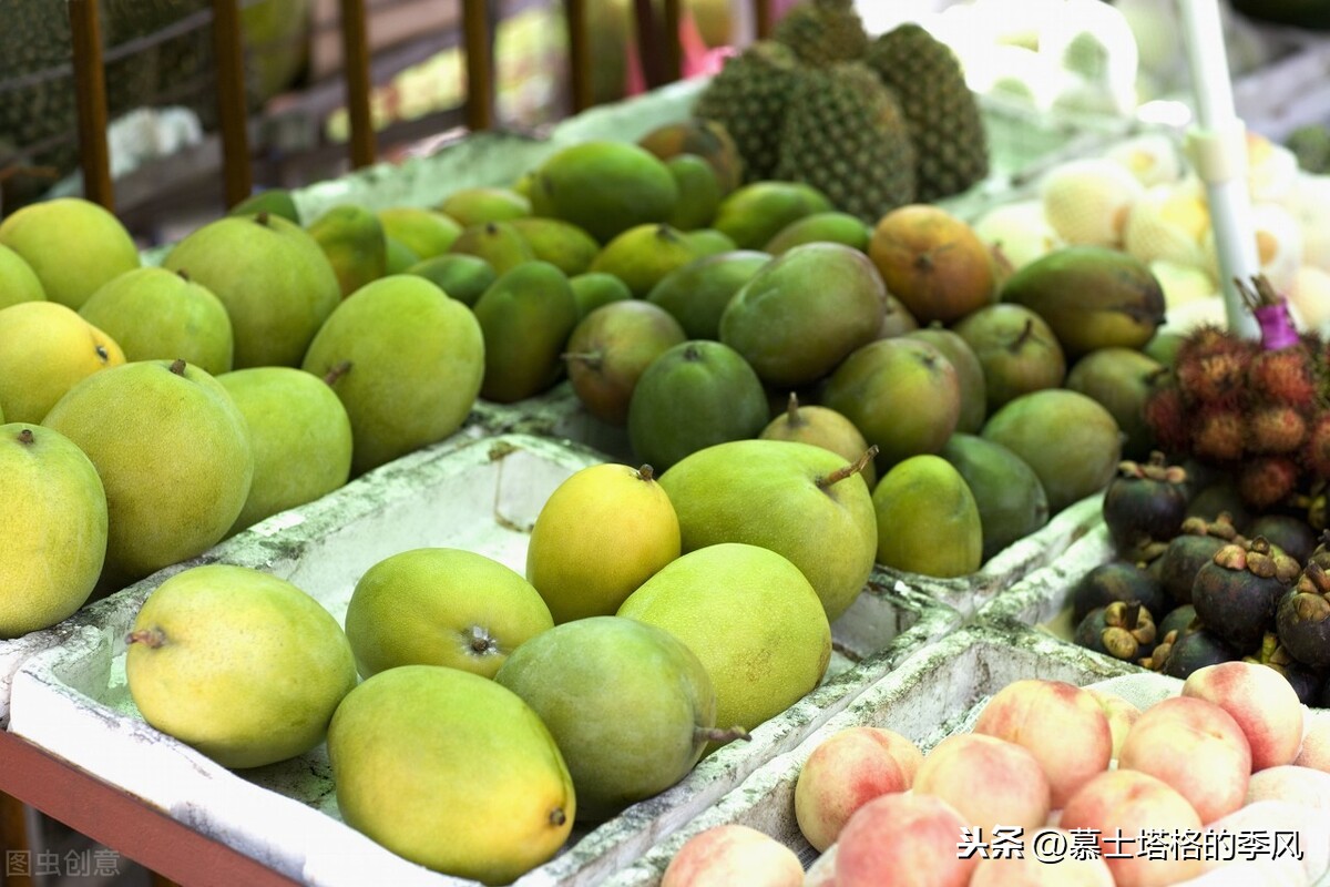 从冰天雪地,到冬日暖阳,北方人为啥都喜欢到这6个城市避寒养老