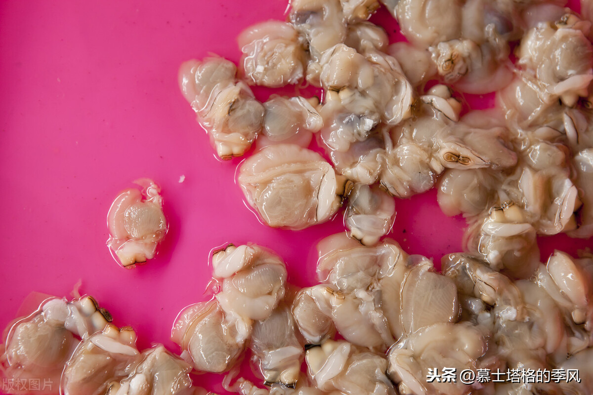 从冰天雪地,到冬日暖阳,北方人为啥都喜欢到这6个城市避寒养老