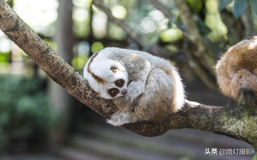 云南很适合养老的小城,冬比昆明暖,夏比北海凉,你知道是哪吗?