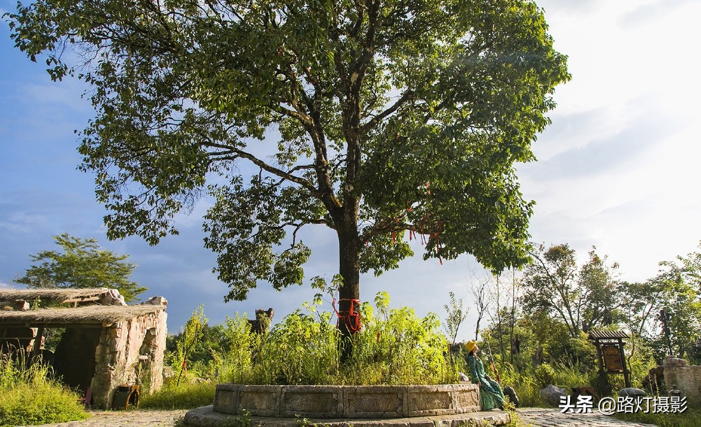 云南很适合养老的小城,冬比昆明暖,夏比北海凉,你知道是哪吗?