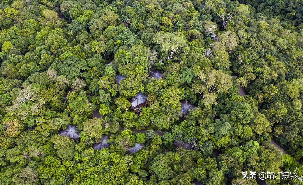 云南很适合养老的小城,冬比昆明暖,夏比北海凉,你知道是哪吗?