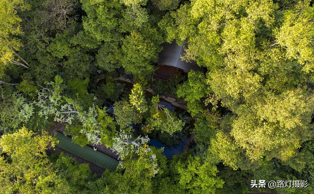 云南很适合养老的小城,冬比昆明暖,夏比北海凉,你知道是哪吗?