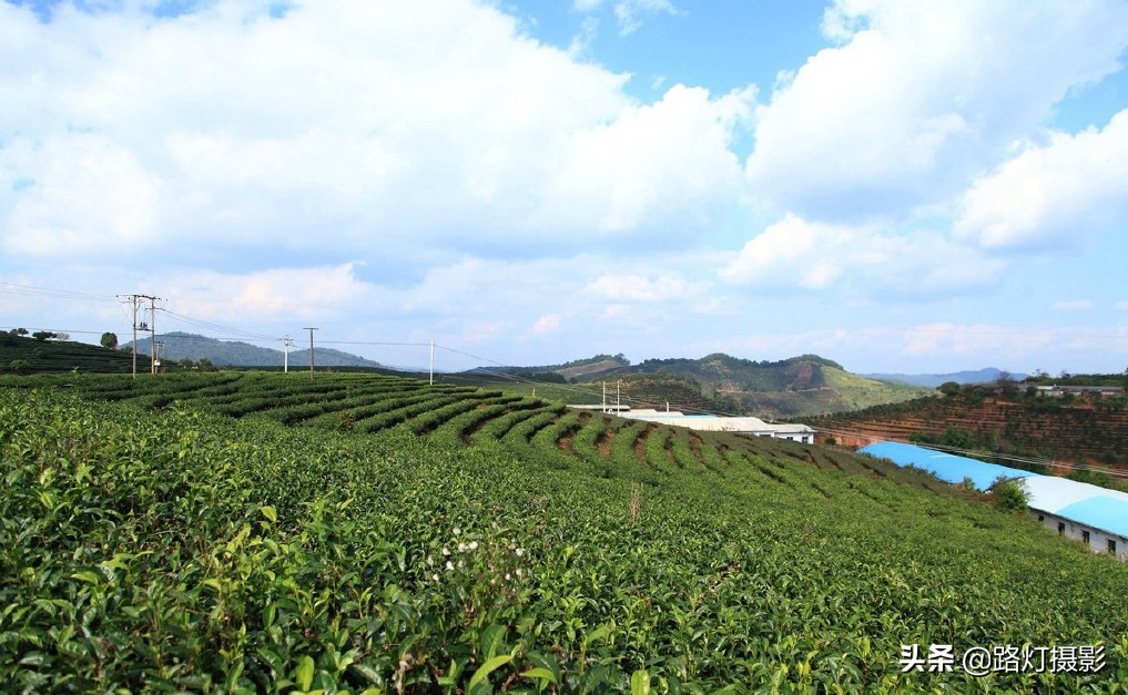 云南很适合养老的小城,冬比昆明暖,夏比北海凉,你知道是哪吗?