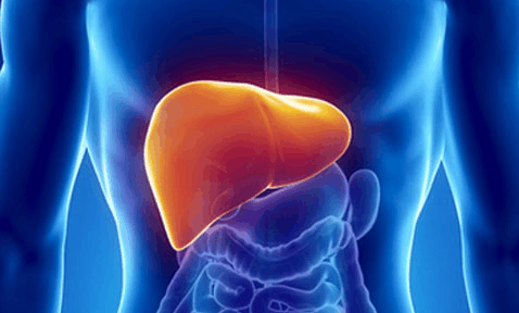 肝脏不好看4个地方就知道,做好5件事情,养肝护肝很轻松