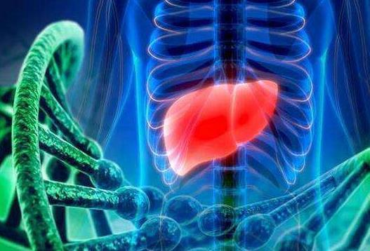 肝脏不好看4个地方就知道,做好5件事情,养肝护肝很轻松