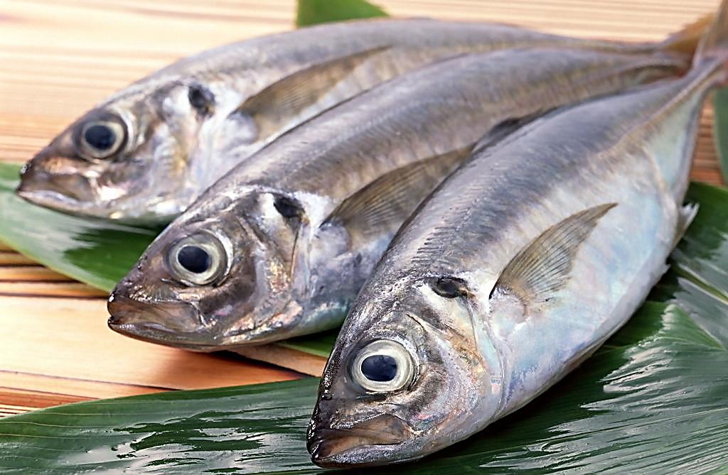 中老年人要防心脑血管病,别吃肉为好?医生:要看是什么肉