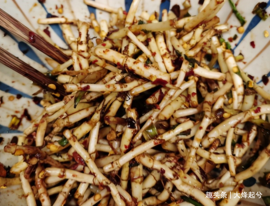 惊蛰节气,鱼腥草正当时,一次多买点凉拌着吃,给家人尝尝鲜