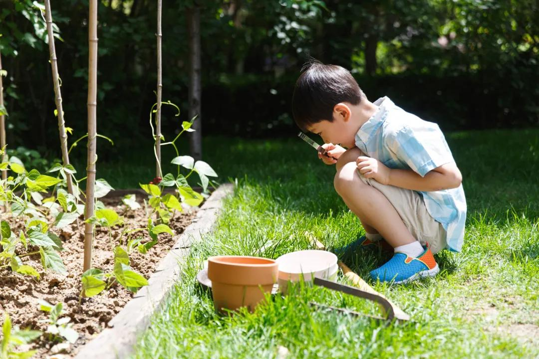 何为“好的教育”?这些答案走心了