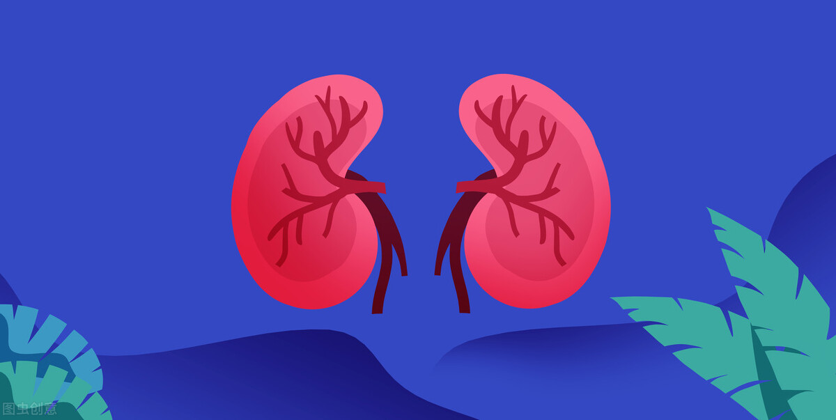 世界肾脏日科普:怎样才能更好保持肾脏健康?看看医学专家怎么说