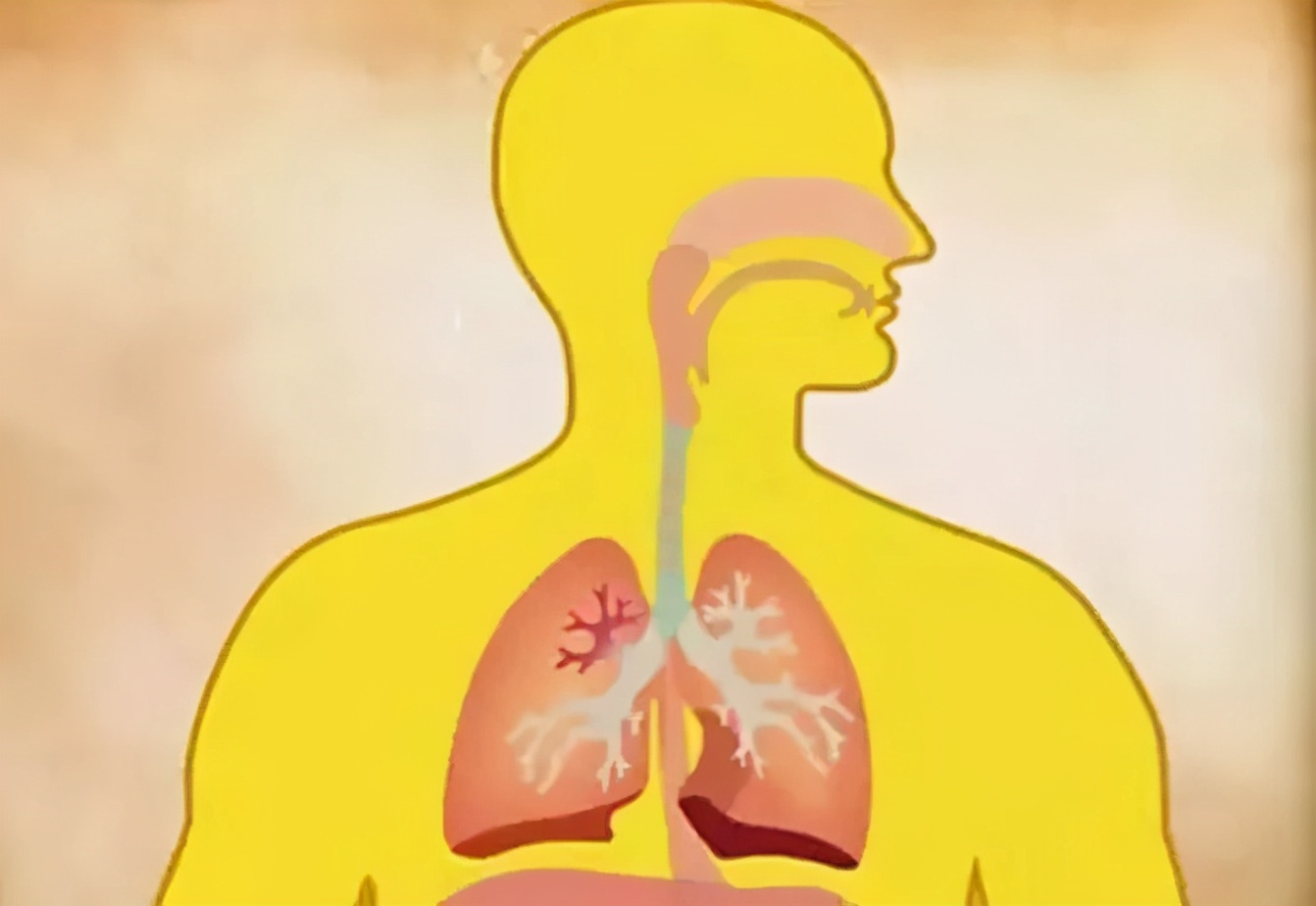 身体有这些表现,说明该好好“清理”了!用对天然食物,给身体做个“大扫除”