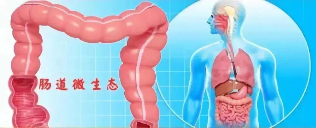 身体有这些表现,说明该好好“清理”了!用对天然食物,给身体做个“大扫除”