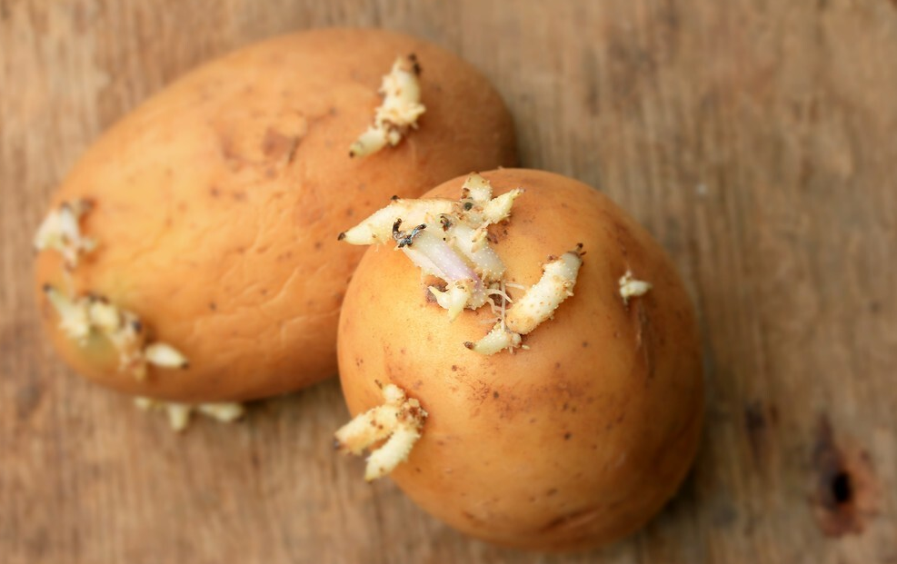 厨房中的4种蔬菜,或会悄悄升高转氨酶,肝不好的人,尽量少吃