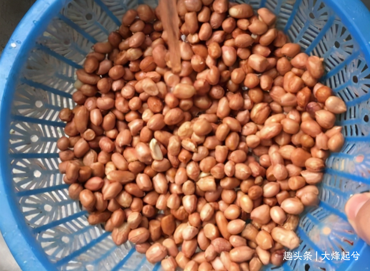 炒花生米,不要着急下锅,牢记“三点技巧”,花生米更香更酥脆