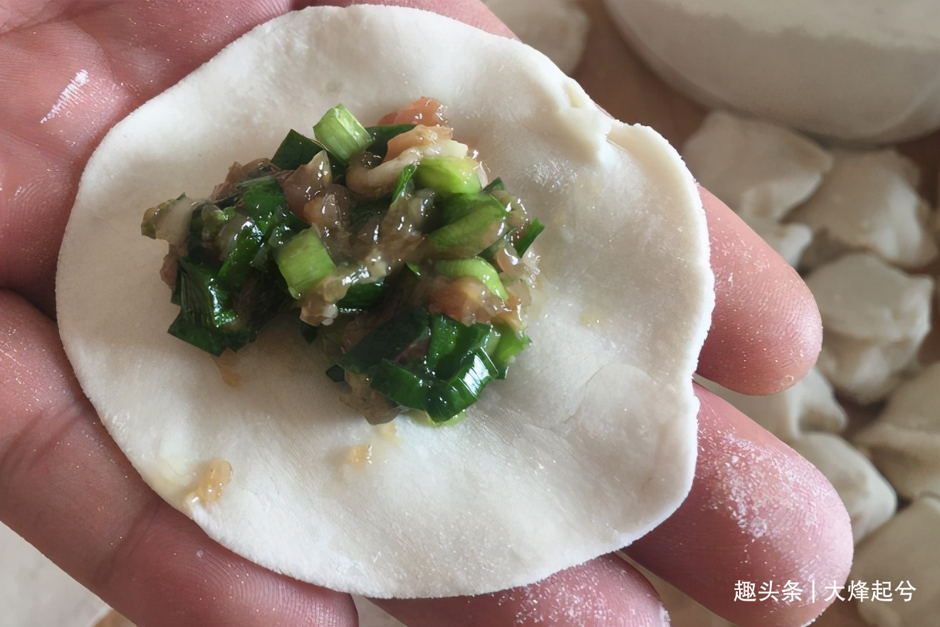 做韭菜猪肉馅饺子,记住“4要点”,韭菜不出水,饺子鲜香味道好