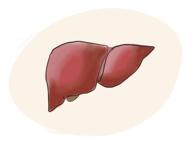 资料图&nbsp; 王彩凤 绘